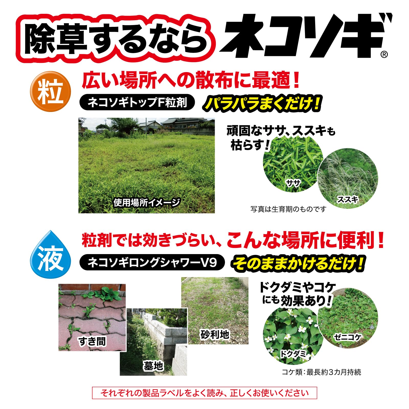 Amazon | レインボー薬品 除草剤 ネコソギトップF粒剤 3kg 長期間持続